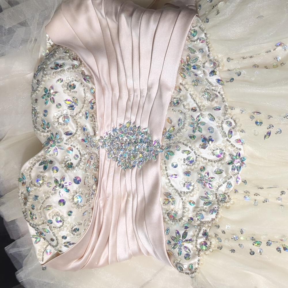 Prom Dress - Picture 5 of 7